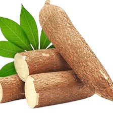 Cassava