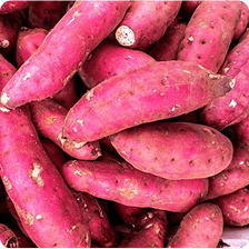 Sweet Potato